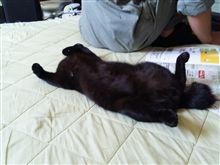 ふぅ・・どうなることやら。 ふぅ・・どうなることやら。