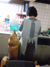 ポッポ犬ばーぐ？！
