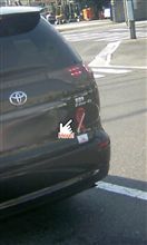 驚きの発見！！
