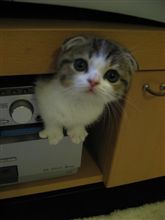 友達の友達は友達！！？　読んでいただければわかります？？？