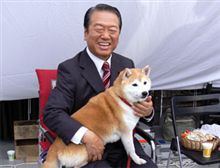 やっと週末しかしやること無し！