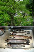 食う魚を釣る！