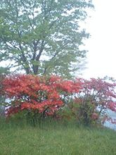 まっちろ榛名山
