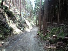 道の駅　かもがわ円城