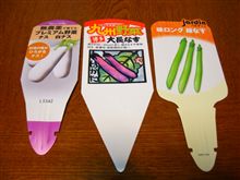これまでもが白と緑