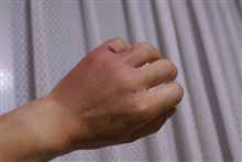 この拳で、息子を
