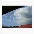 ５月１８日　抜け殻でダルダル ...