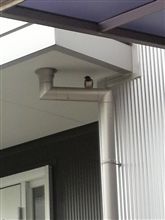 いい事あるかな？