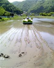 食料自給率