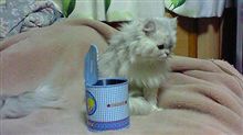 空っぽ！