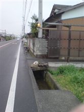 緊急配備：宮武の看板が盗難にあいました