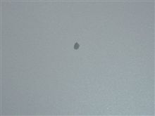 ショック！！！ボンネットに米粒状の・・・・！！！。