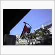 定点観測　5/20