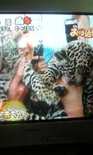 気になるケド実はそこまで興味ない