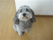 みんカラ始めて３周年