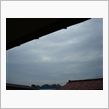 ５月２２日　グズグズな空模様 ...