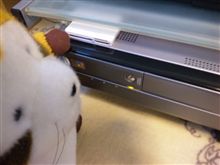 ちっくとたっく