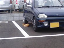 住み込み？？