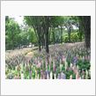 国営武蔵丘陵森林公園