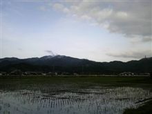 朝の散歩