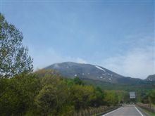 現地はウグイスがヽ(゜∀。)ノ