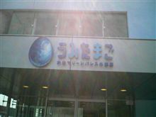 今日の水族館
