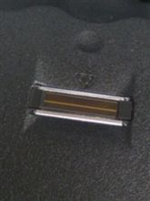 だから本物だってば