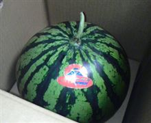 今年の初物♪