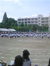 今日は子供の運動会でした。