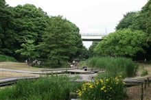 町田市忠生公園に行きました～♪