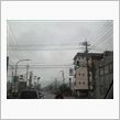 今日はお休み～♪