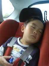 【親馬鹿】疲れたっす(-.-)Zzz・・・・