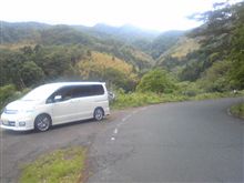 今日は山菜取り！