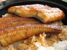今日のランチは、浜名湖サービスエリアの「うなぎ丼」