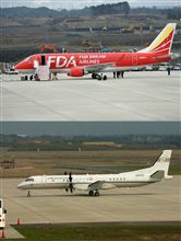 立ち木伐採後