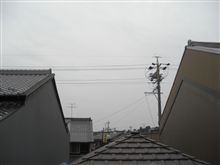  o川・o・川oオッ!＼川・o・川／ハー!! 【2009/05/28】