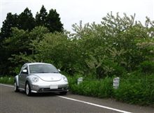 な～んとなく