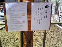 銀座水田