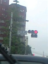 しっかり雨です