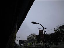 定点観測　5/30