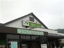 ( 」゜Д゜)」笹オーイ!