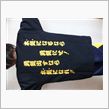 ちーむＴシャツｗｗｗｗ