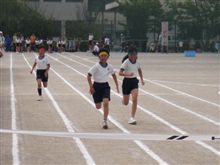 失くした1/2