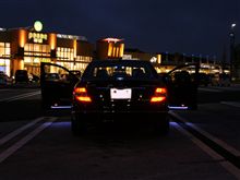 ＮＩＧＨＴ　ＢＩＲＤ
