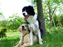 早く週末にならないかなぁ･････