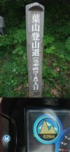 葉山登山道（三本橋コース）入口