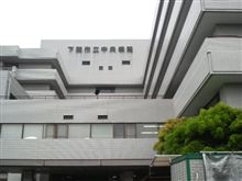 今日は…