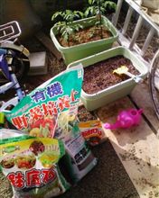 土作り