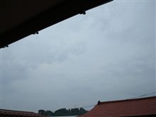 ６月５日　休みな日ほど早起きなのｗ、おはです～♪
