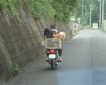 おばちゃんそれは危ないで。